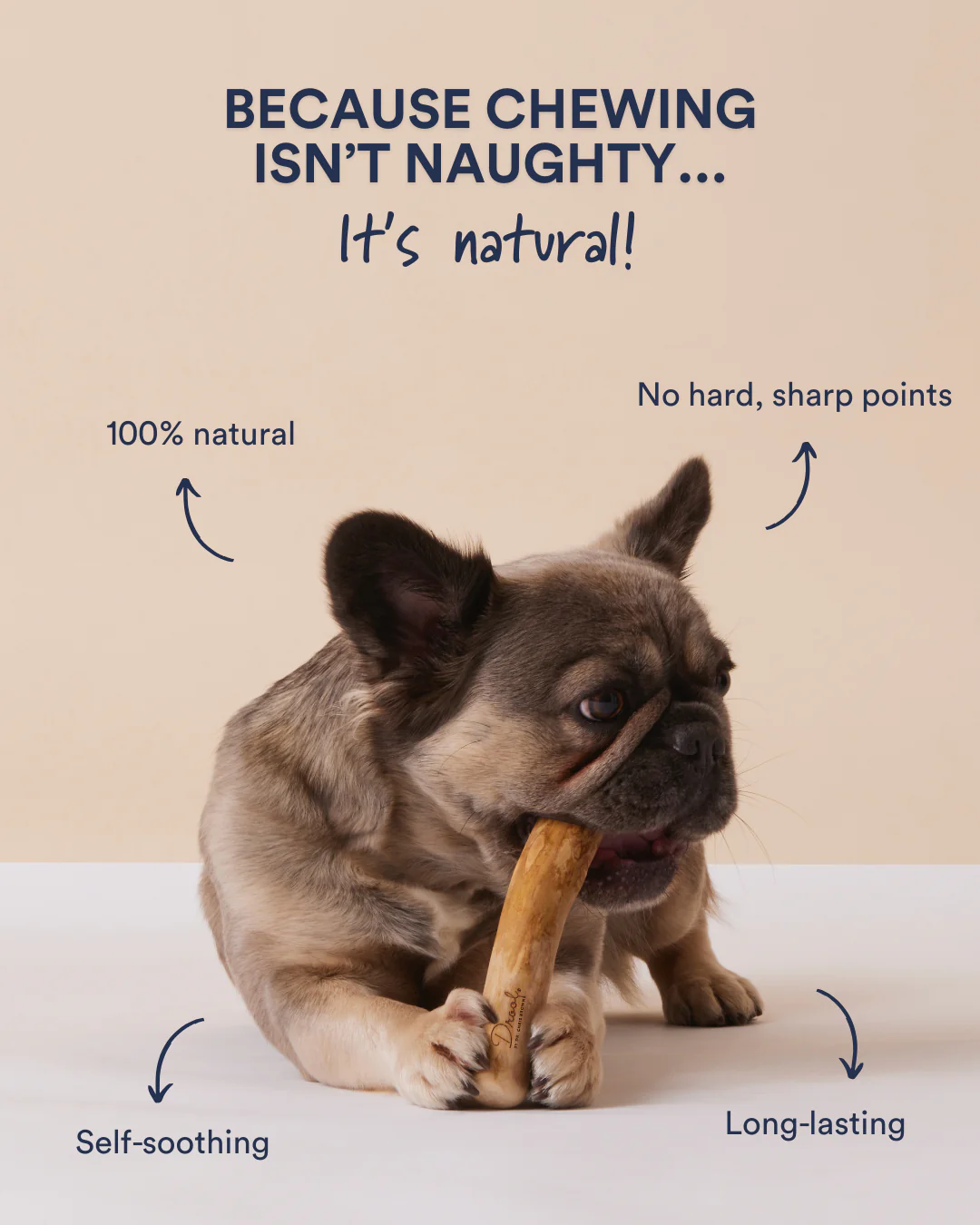 Coffee Wood Chew - Image 4