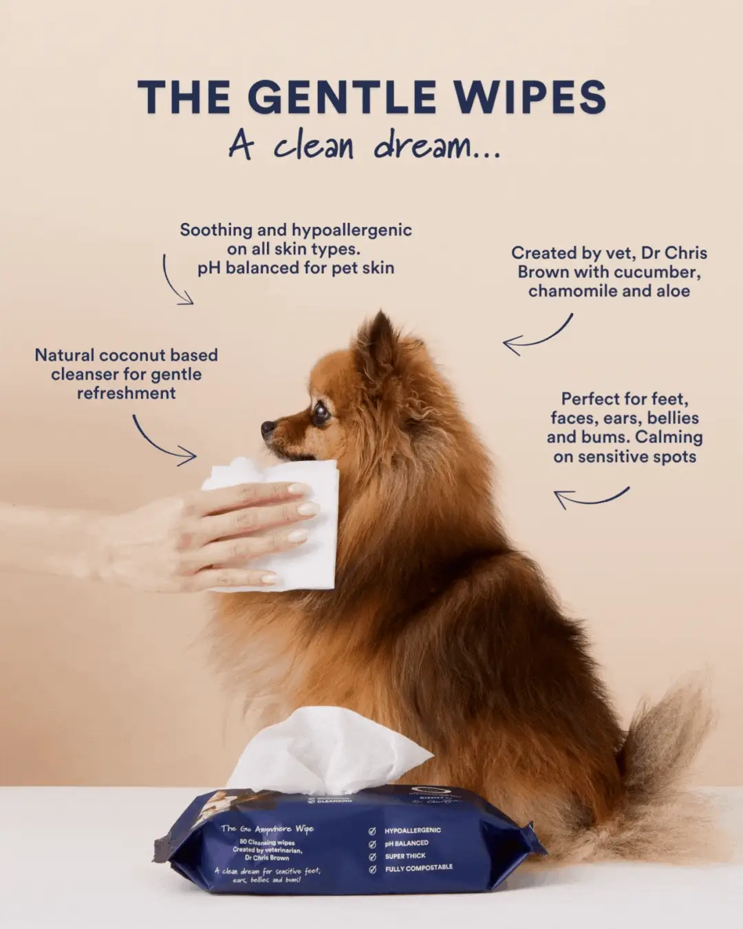 The Gentle Wipes - Image 3