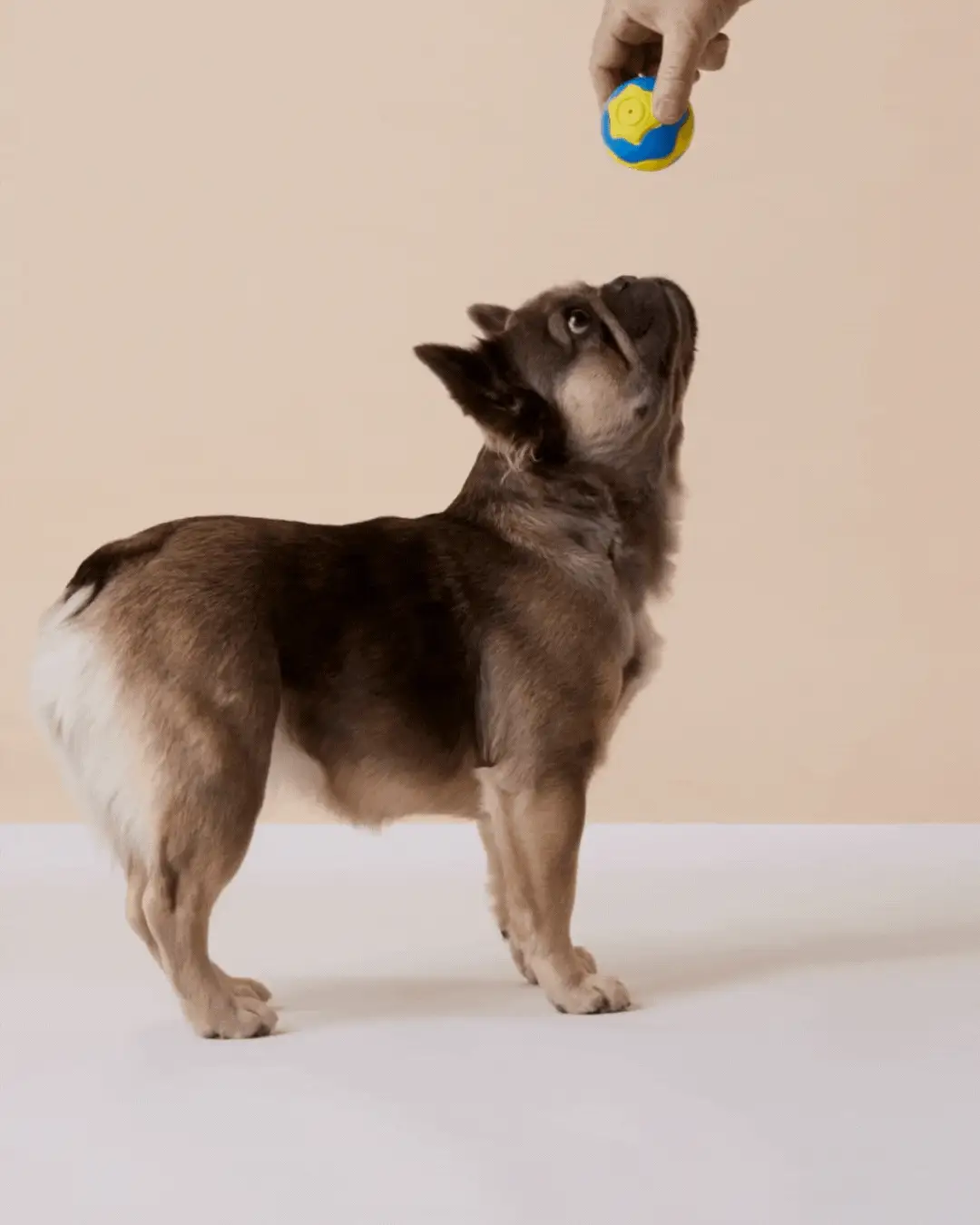 The Unmissaball™ - Image 4